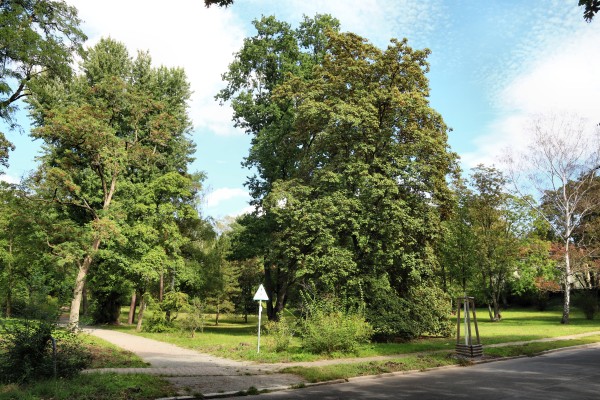 Ortelsburgpark