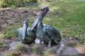 Skulptur Pelikanpaar