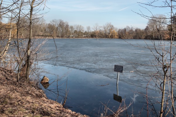 Blankenburger Karpfenteiche