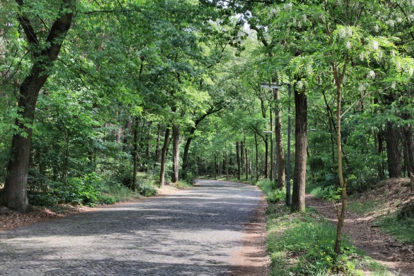 Hubertusweg