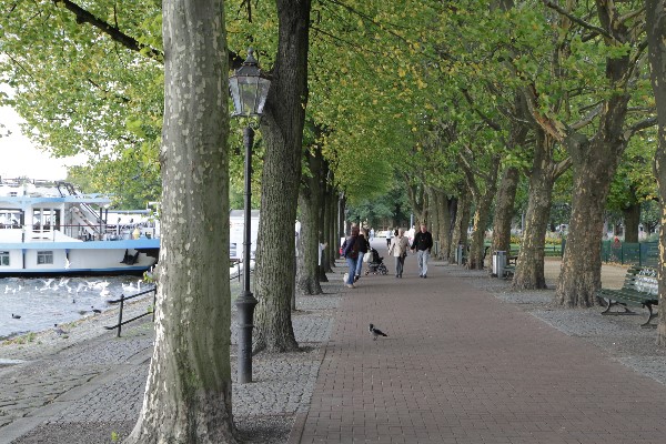 Greenwichpromenade