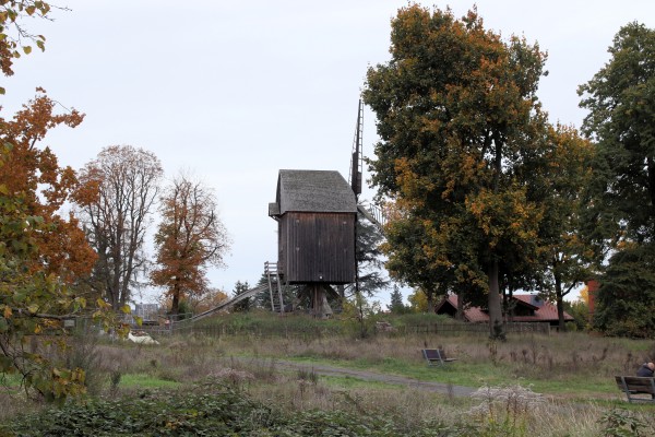 Bockwindmühle