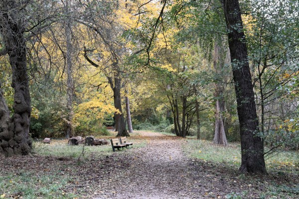 Ernst-Liesegang-Ufer