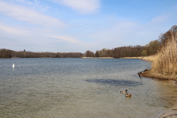 Groß-Glienicker-See