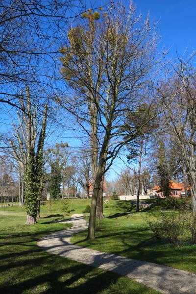 Landhausgarten Fränkel
