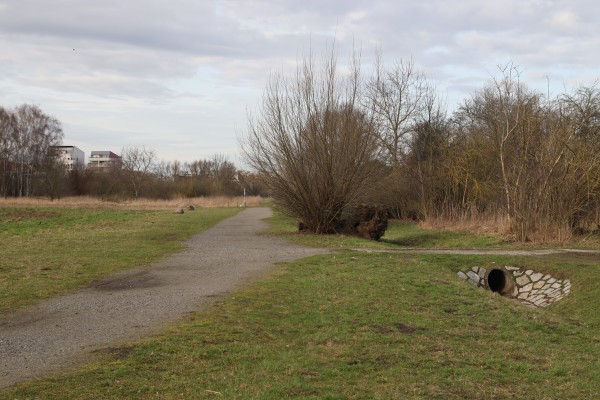 Wiesen Amalienhofgraben