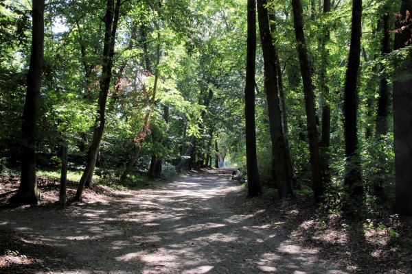 Volkspark Rehberge