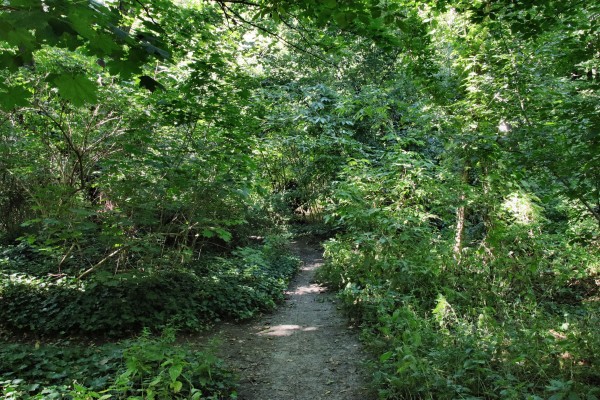 Weg Schwarzen Graben