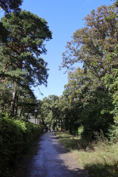 Erdmann-Graeser-Weg