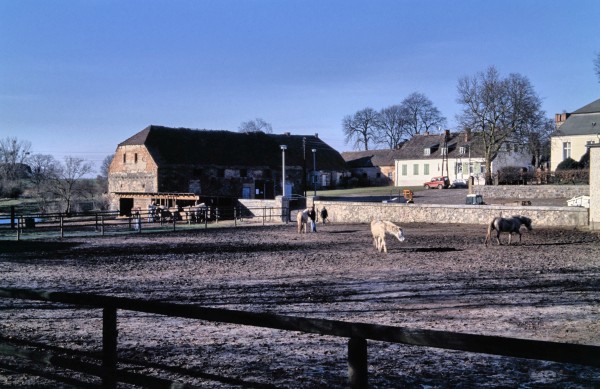 Camargue-Pferde-Hof