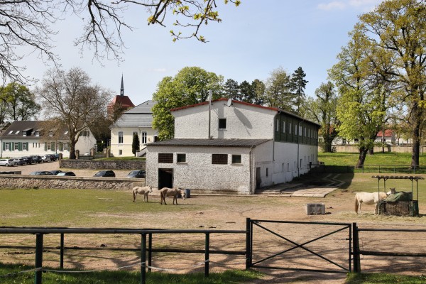 Camargue-Pferde-Hof