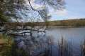 F�ngersee