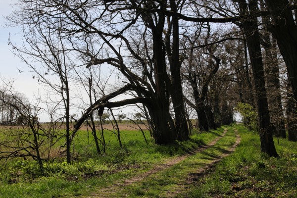 Feldweg