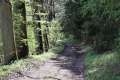Waldweg