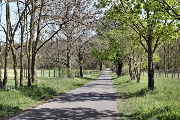 Mühlenstraße