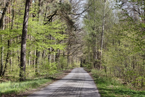 Mühlenstraße