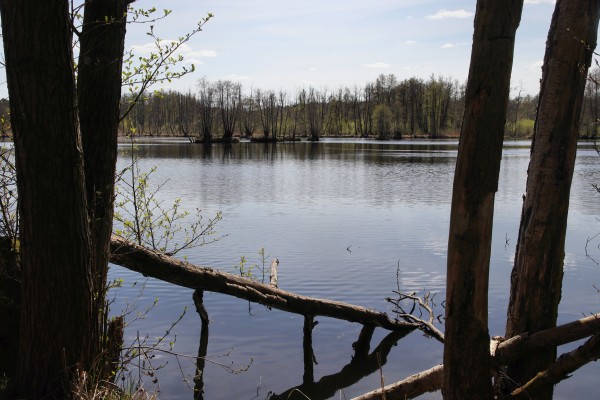 Paradiessee