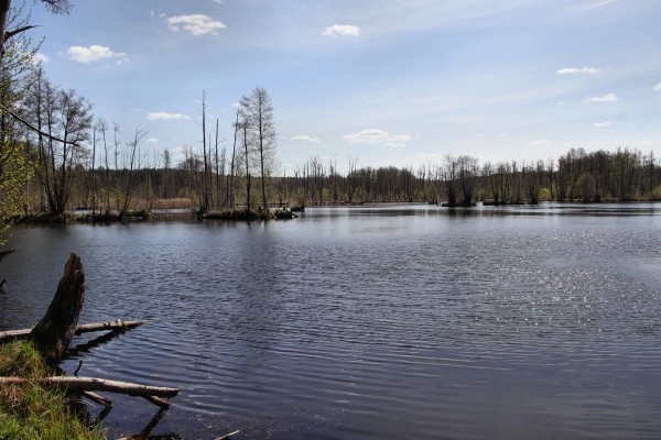 Paradiessee