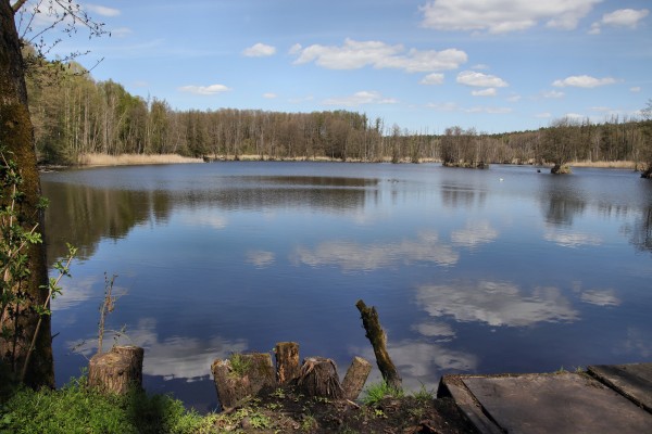 Paradiessee