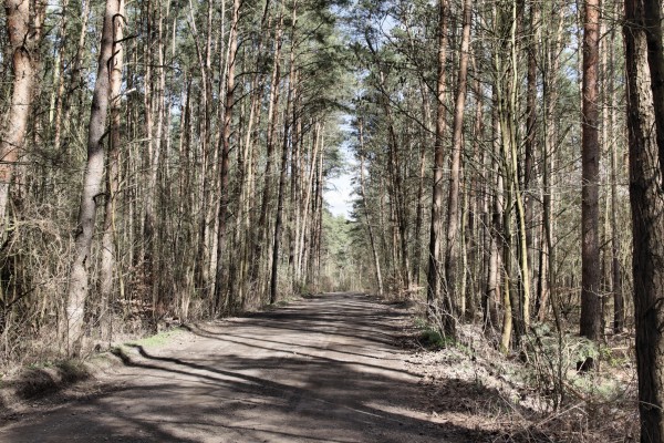 Schmetzdorfer Straße