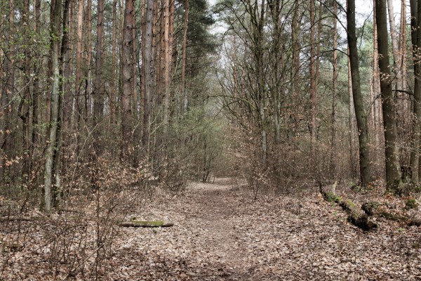 Lanker Weg