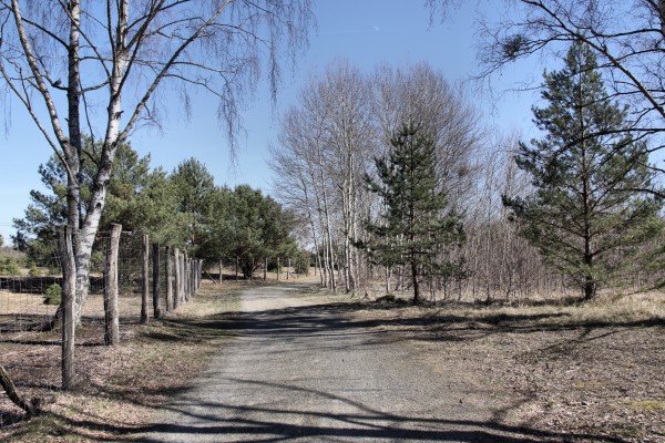 Heideweg
