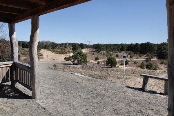 Schönower Heide