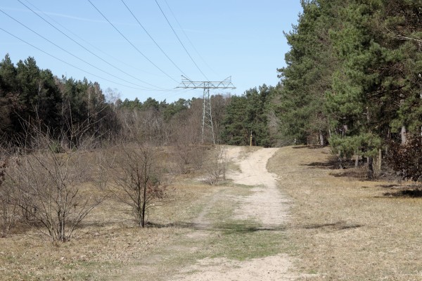 Waldweg