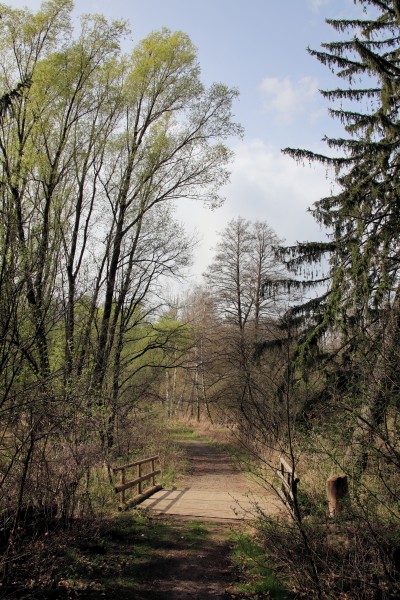 Feldweg