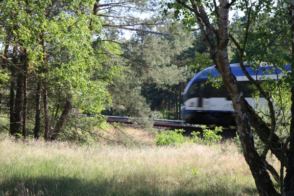 Bahn im Wald