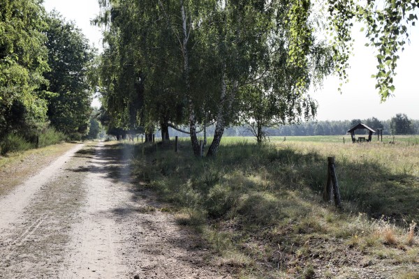 Döberitzer Heide