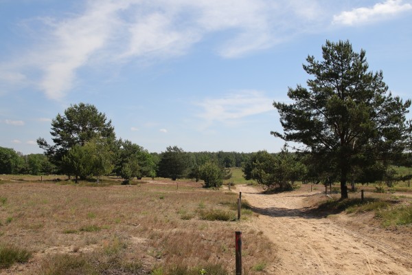 Döberitzer Heide