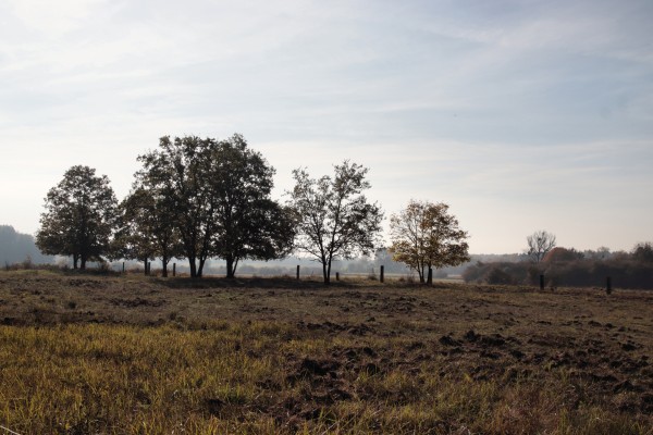 Döberitzer Heide