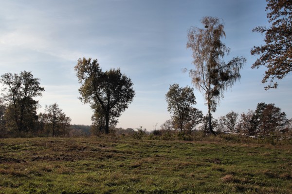 Döberitzer Heide