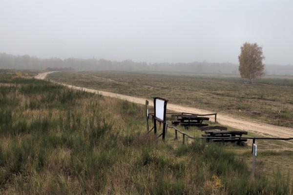 Döberitzer Heide