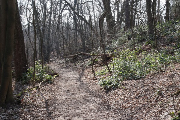 Döberitzer Heide