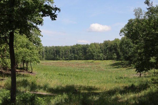 Döberitzer Heide