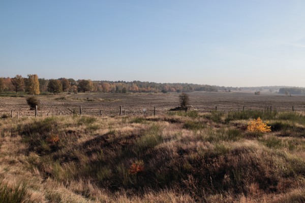 Döberitzer Heide