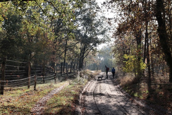 Döberitzer Heide