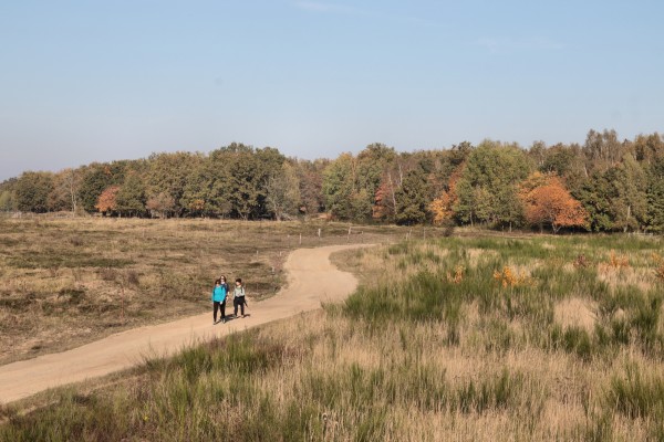 Döberitzer Heide