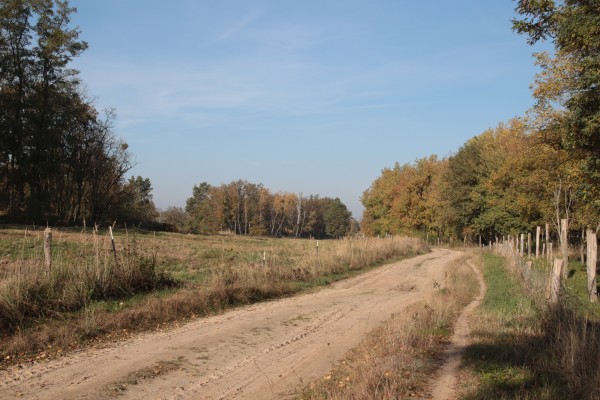 Döberitzer Heide