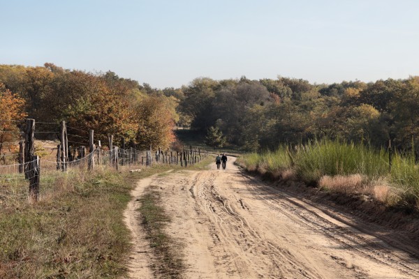 Döberitzer Heide