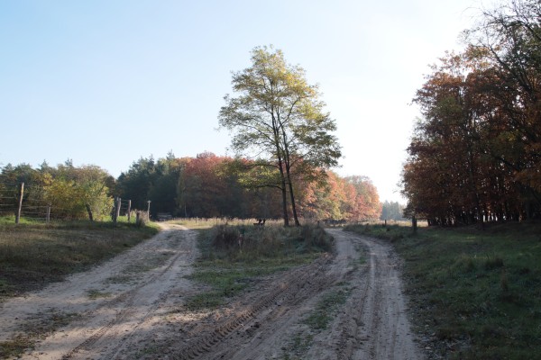 Döberitzer Heide