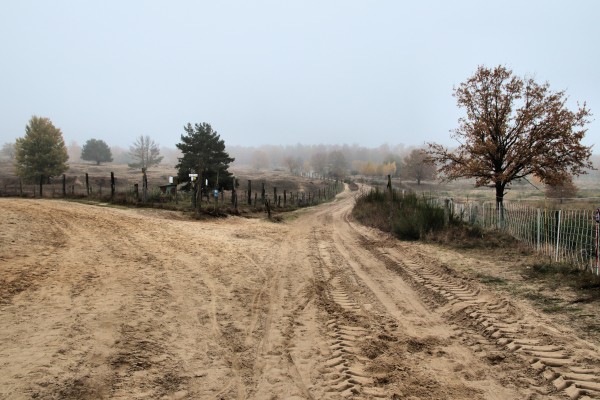 Döberitzer Heide