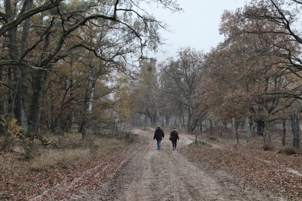 Döberitzer Heide