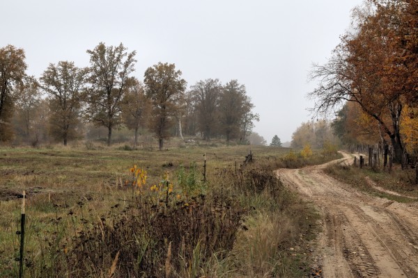 Döberitzer Heide