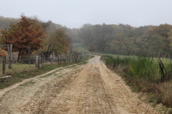 Döberitzer Heide