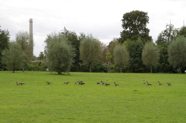 Havelauenpark