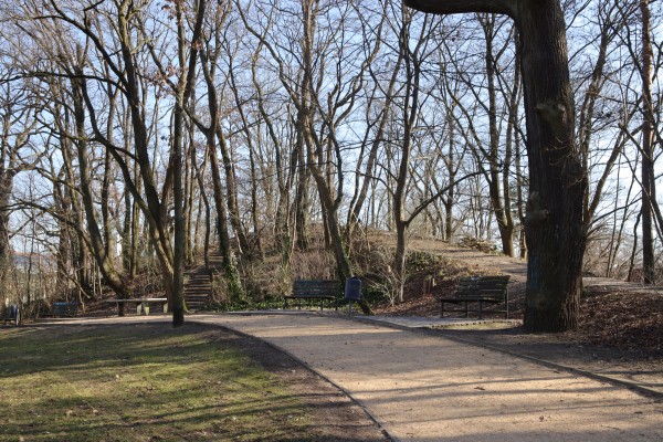 Stadtpark Conradsberg