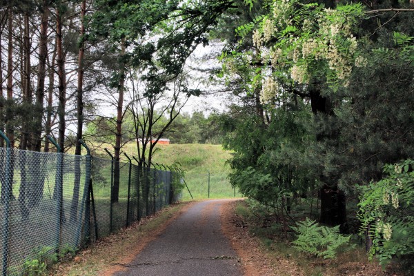 Waldweg